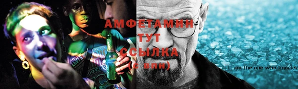 соль ск Новозыбков