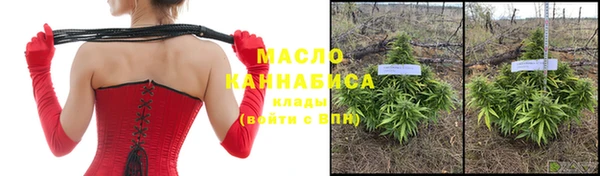 соль ск Новозыбков