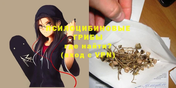 соль ск Новозыбков