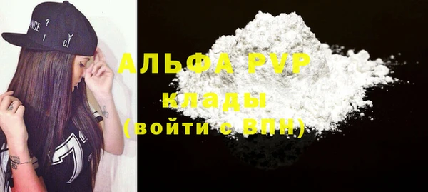 соль ск Новозыбков