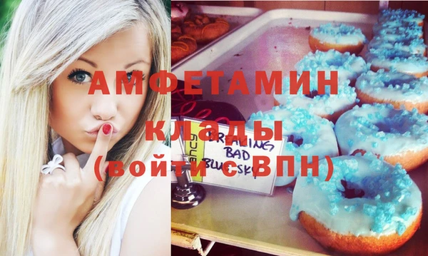 соль ск Новозыбков
