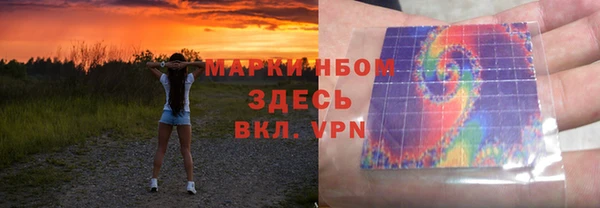 соль ск Новозыбков