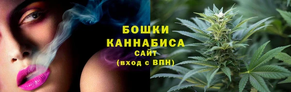 прущий лед Жердевка