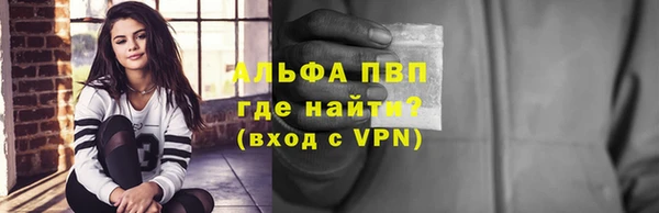 соль ск Новозыбков