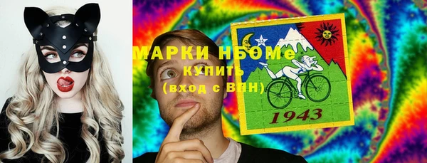 соль ск Новозыбков
