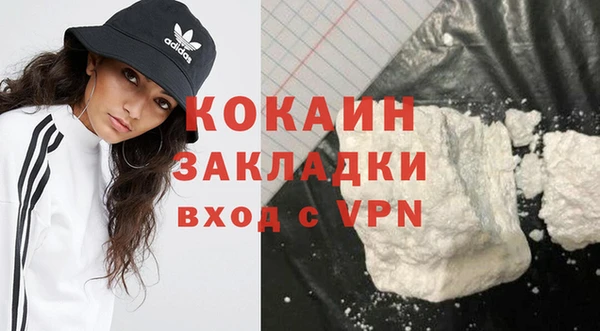 соль ск Новозыбков