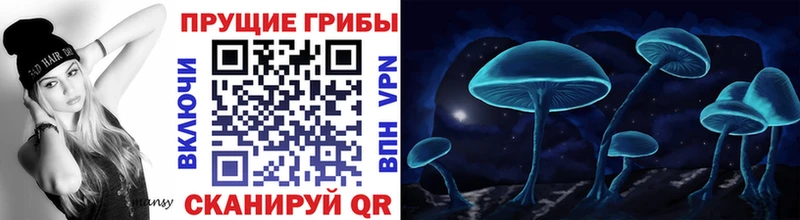 Галлюциногенные грибы прущие грибы  где продают   Кадников 